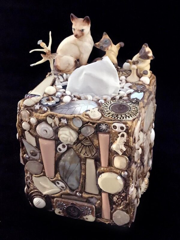 Kitty Party Tissue Box